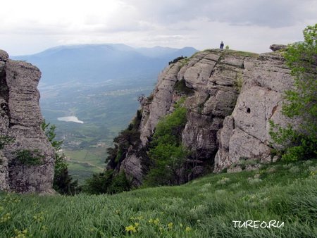 ������� ����� (����)