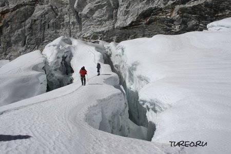 ����� (����)