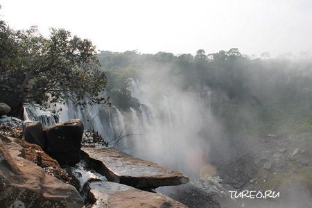 ������ (����)