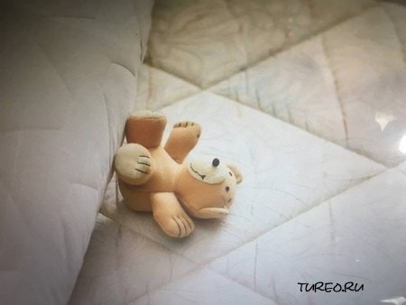 ������ �� �����