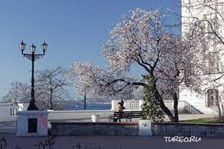 Весенний Севастополь Весенний Севастополь